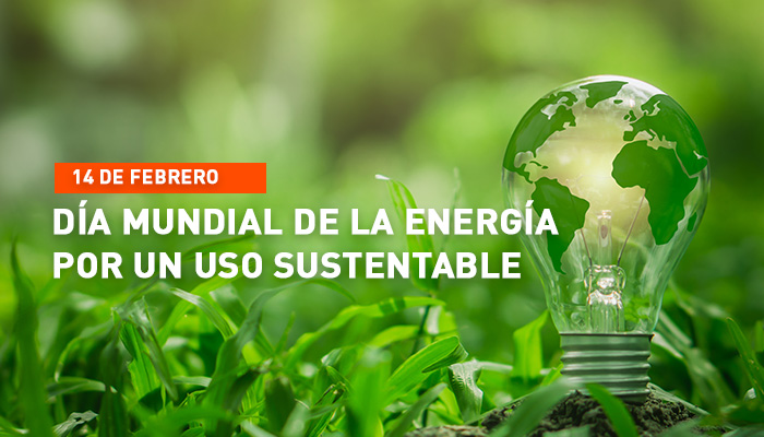 Día Mundial de la energía por un uso sustentable