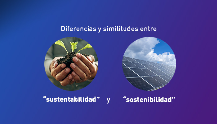 Diferencias y similitudes entre “sustentabilidad” y “sostenibilidad”