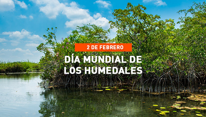 Día Mundial de los Humedales