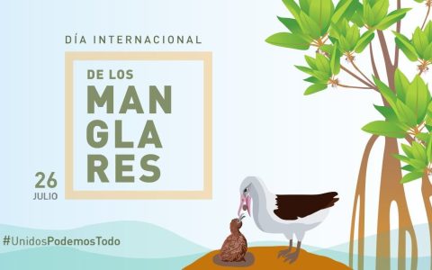Día Internacional de la defensa del Ecosistema Manglar