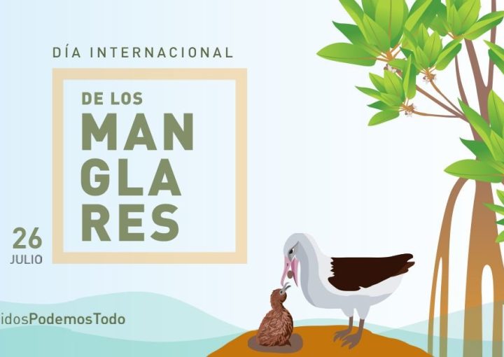 Día Internacional de la defensa del Ecosistema Manglar
